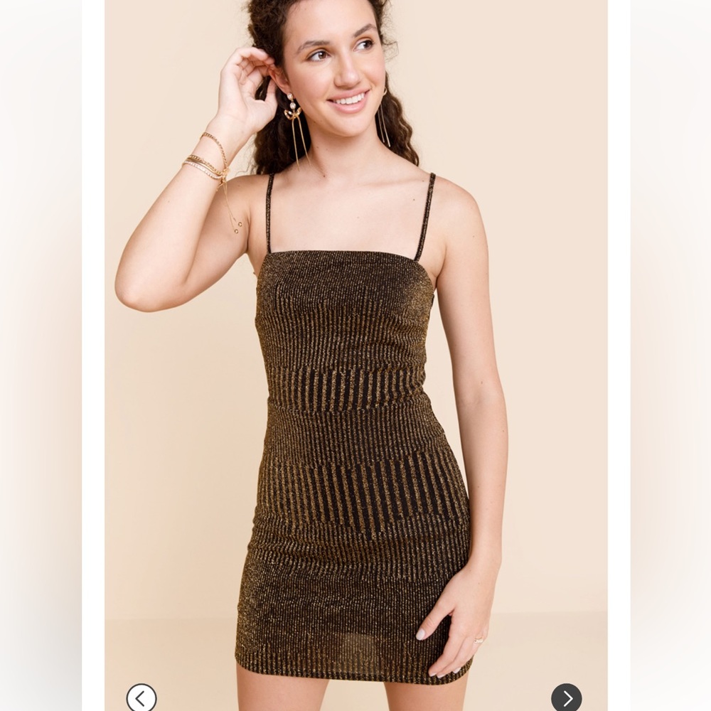 Francesca’s Dress New With Tags